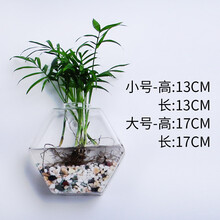 創(chuàng)意花瓶，打造溫馨家居生活