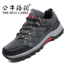 公牛駱駝（THE BULL CAMEL）男士灰色 47