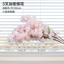 精美生態(tài)花瓶，讓你的家更浪漫