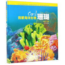 珊瑚