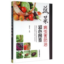 蔬菜病蟲害