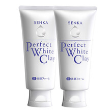 資生堂（SHISEIDO PROFESSIONAL）潔面乳 120ml