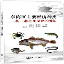 東海