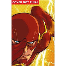 the flash