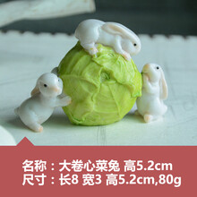 精美歐式發(fā)飾，裝點(diǎn)你的浪漫生活