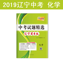 2019中考化學(xué)
