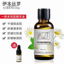 怎么樣,洋甘菊,甘菊,精華,精華