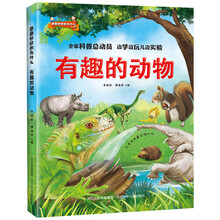 奇奇妙妙