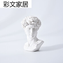 大衛(wèi)石膏頭像