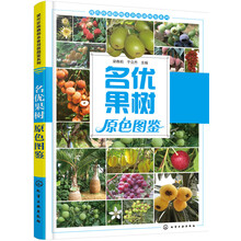 果樹