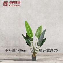 精美生態(tài)花瓶，讓你的家四季如春