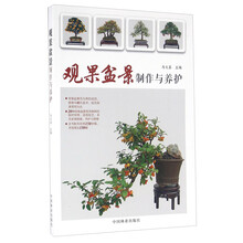 盆景制作