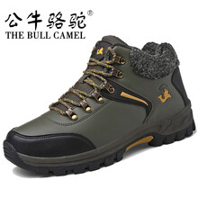 公牛駱駝（THE BULL CAMEL）男士X1227綠黃 43