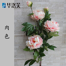 生態(tài)花瓶，打造精致之家