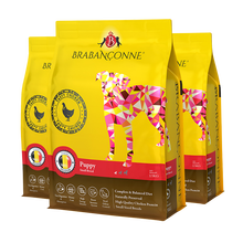 ����裨Brabanconne�� �����ζ��Ȯ���� ���۷���