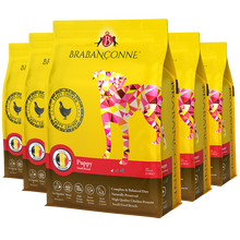 爸媽寵（Brabanconne） 雞肉口味成犬狗糧 健康服務(wù)