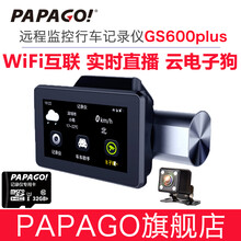 papago p3