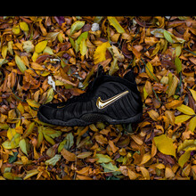 耐克（NIKE）籃球鞋624041-009（液態(tài)金） 44.5