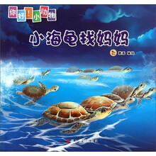 小海龜