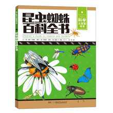 蜘蛛大