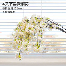 精美生態(tài)花瓶，讓你的家更浪漫