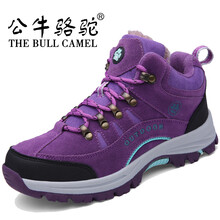 公牛駱駝（THE BULL CAMEL）男士J711紫色棉鞋 42