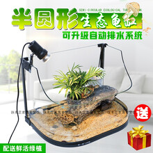 精美創(chuàng  )意家居擺件，裝點(diǎn)客廳藝術(shù)