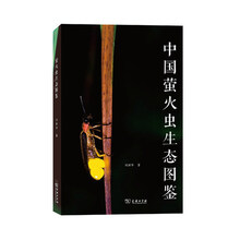螢火蟲