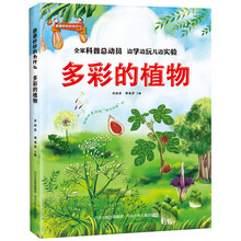 奇奇妙妙