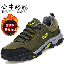 公牛駱駝（THE BULL CAMEL）男士7788綠黃 43
