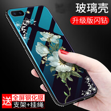茉莉花果