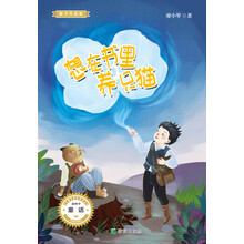 書養(yǎng)貓