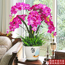 創(chuàng)意玻璃花瓶，讓家不再單調(diào)！