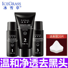 冰雪草面膜控油平衡，細(xì)致毛孔，清潔，去黑頭，提拉緊致