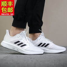 阿迪達(dá)斯（Adidas）跑步鞋CG3914/白色清風(fēng)鞋 