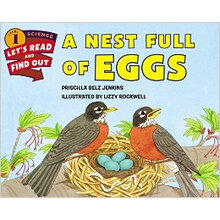 nest