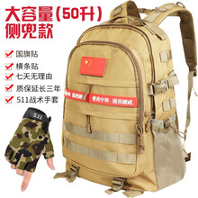 雙肩戶外大背囊