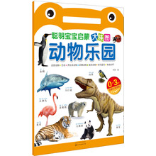 掛圖動(dòng)物