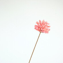手工藝術(shù)花瓶