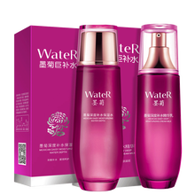 一枝春墨菊巨補水