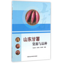 甘薯