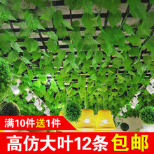 仿真,仿真,怎么樣,室內(nèi),室內(nèi),水果,水果