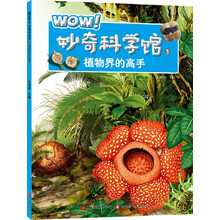 妙奇