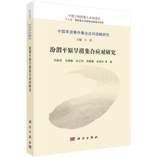 中國戰(zhàn)略