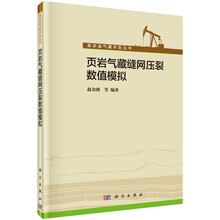 數(shù)值模擬