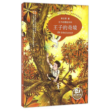 王子的冒險(xiǎn)