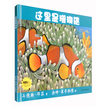 珊瑚礁