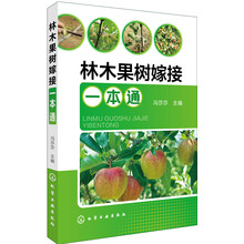 果樹(shù)