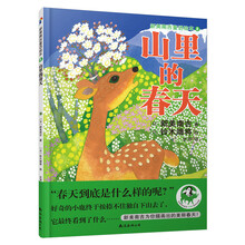風(fēng)箏
