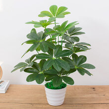 簡約創(chuàng)意花瓶，裝點你的精致生活